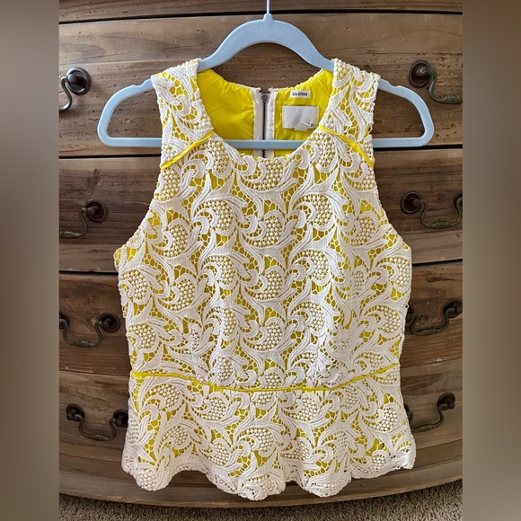 Anthropologie Greylin Valencia Lace Peplum Top - Picture 3 of 9